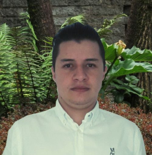 Equipo de la empresa