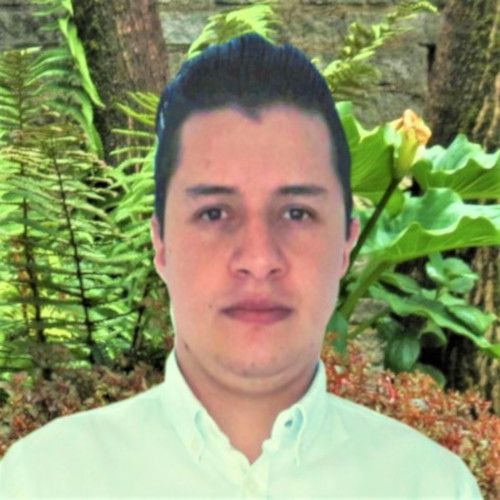 Equipo de la empresa